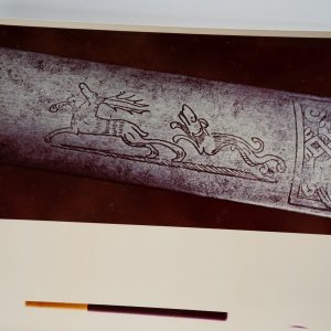 PHOTO Argentique	France	chasse à courre vénerie cheval crosse 18X24cm	1970