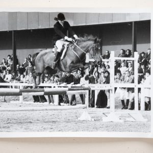 PHOTO Argentique	France	Equitation cheval saut d'obstacles	13X17cm	1970