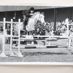PHOTO Argentique	France	Equitation cheval saut d'obstacles	13X17cm	1970