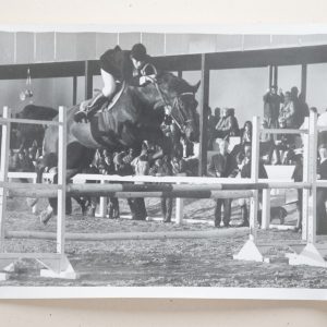 PHOTO Argentique	France	Equitation cheval saut d'obstacles	13X17cm	1970