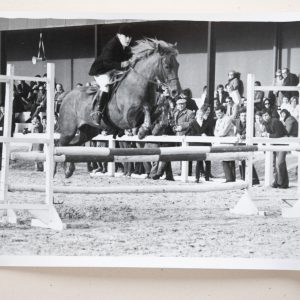 PHOTO Argentique	France	Equitation cheval saut d'obstacles	13X17cm	1970