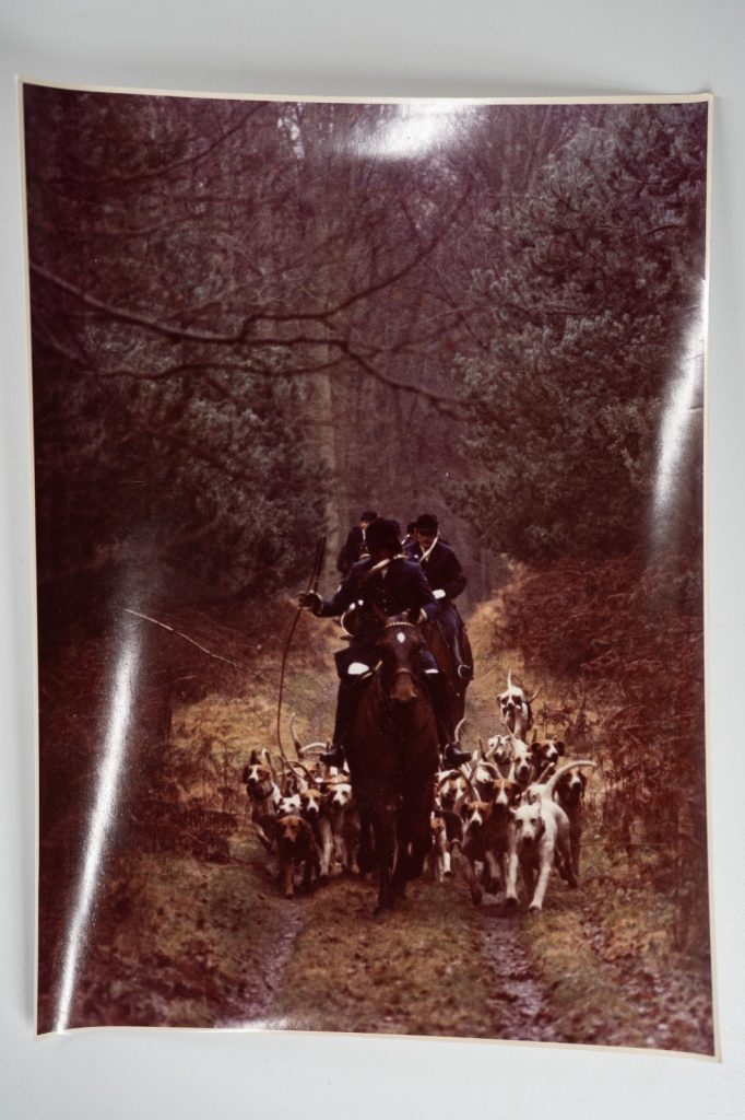 PHOTO Argentique	France	chasse à courre vénerie cheval chien 18X24cm	1970
