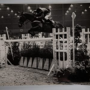 PHOTO Argentique	France	Equitation cheval saut d'obstacles	17X23	1970