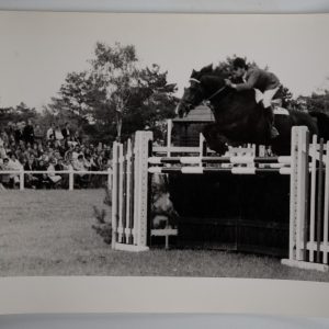 PHOTO Argentique	France	Equitation cheval saut d'obstacles	17X23	1970
