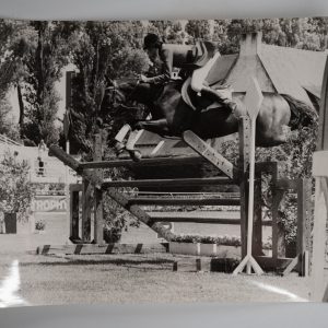 PHOTO Argentique	France	Equitation cheval saut d'obstacles	17X23	1970