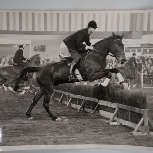 PHOTO Argentique	France	Equitation cheval saut d'obstacles	17X23	1970