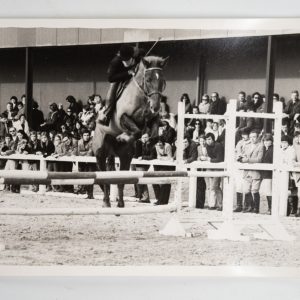 PHOTO Argentique France Equitation cheval saut d'obstacles 13X17cm 1970
