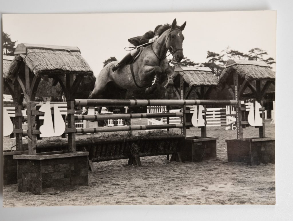 PHOTO Argentique France Equitation cheval saut d'obstacles 13X17cm 1970