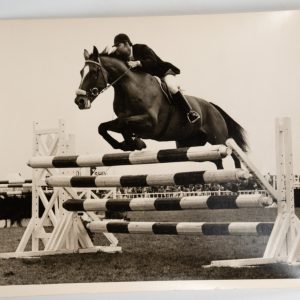 PHOTO Argentique	France	Equitation cheval saut d'obstacles	13X17cm	1970