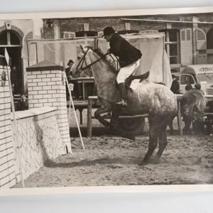 PHOTO Argentique	France	Equitation cheval saut d'obstacles	13X17cm	1970