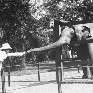 Tirage grande  photo noir blanc argentique baryte 1920 INDOCHINE 26X40cm