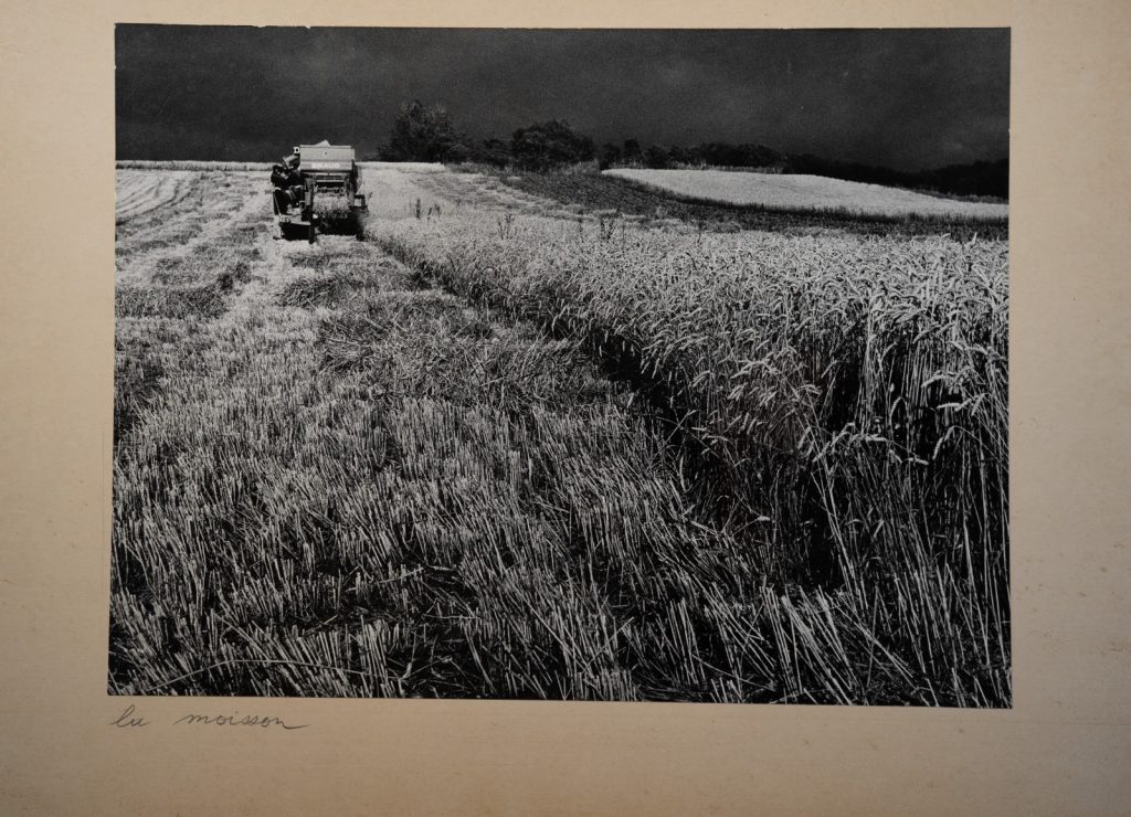 PHOTO Argentique France 27X39cm 1970 artistique, Moisson