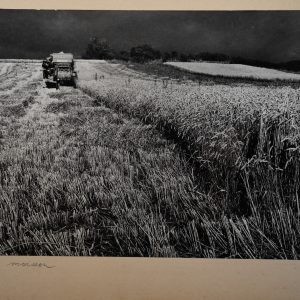 PHOTO Argentique	France		27X39cm	1970	artistique, Moisson