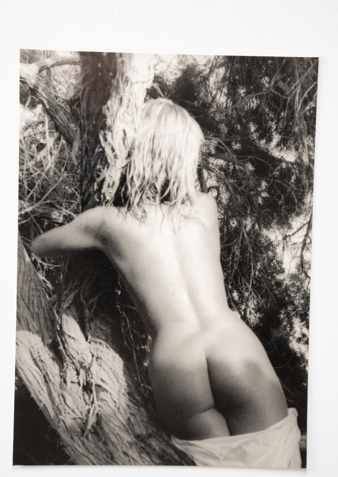 PHOTO Argentique France Nu artistique femme nue 13X18cm 1980