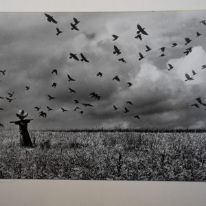 PHOTO Argentique	France		27X39cm	1970	artistique, Scène de vie épouvantail