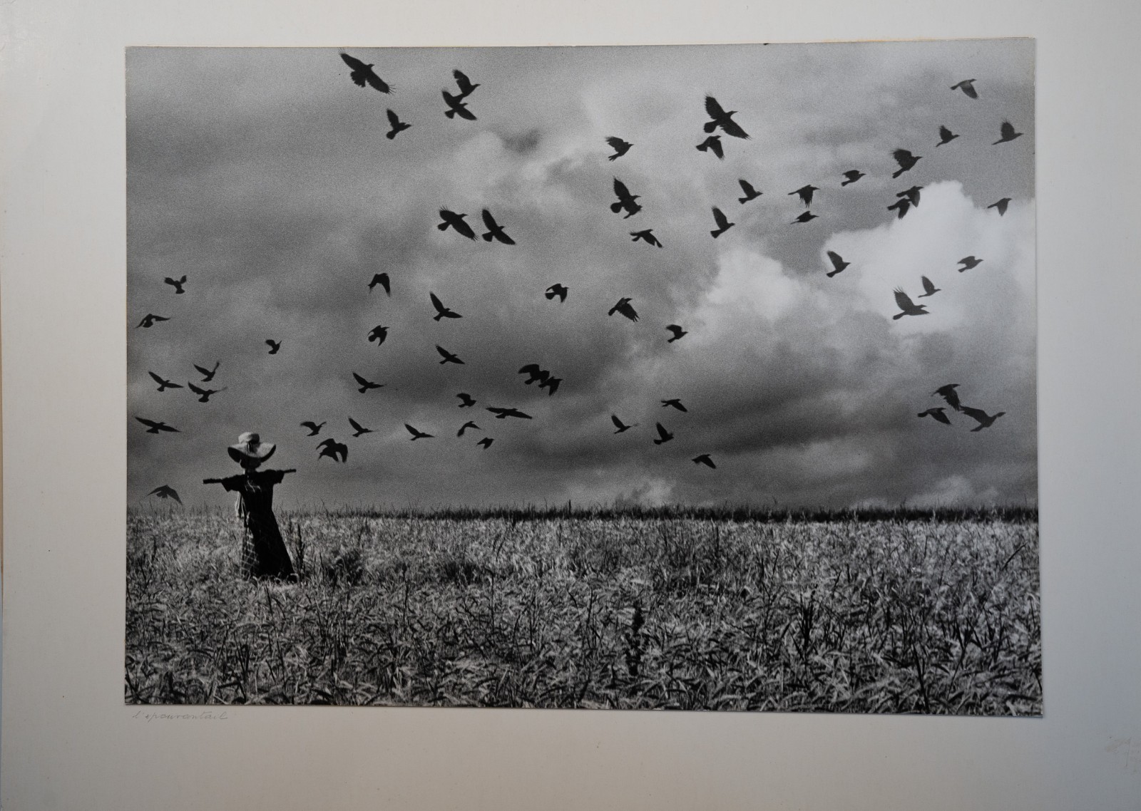 PHOTO Argentique France 27X39cm 1970 artistique, Scène de vie épouvantail