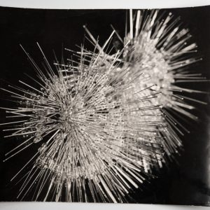 PHOTO Argentique	France	Elément électronique	21X27cm	1960