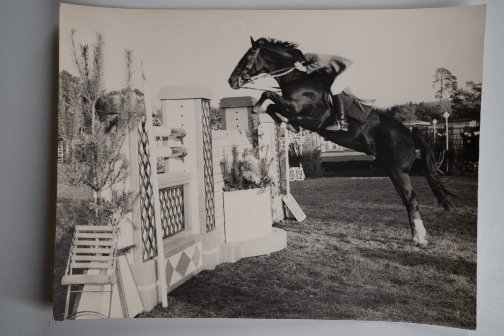 PHOTO Argentique France Equitation cheval saut d'obstacles 17X23 1970