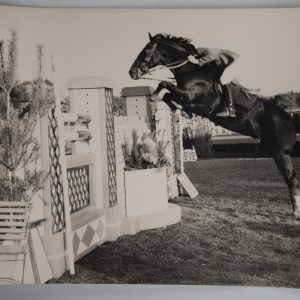 PHOTO Argentique	France	Equitation cheval saut d'obstacles	17X23	1970