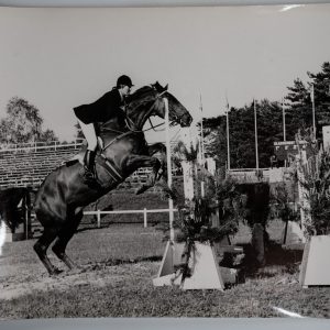 PHOTO Argentique	France	Equitation cheval saut d'obstacles	17X23	1970
