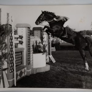 PHOTO Argentique	France	Equitation cheval saut d'obstacles	17X23	1970