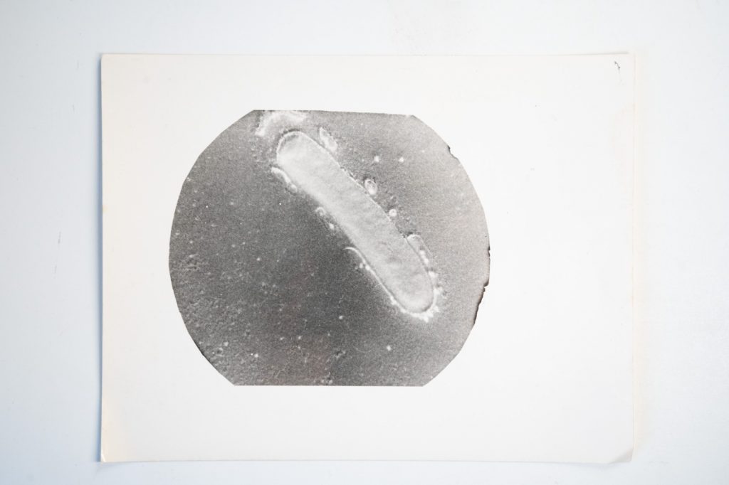 photo Argentique	France	Microscopique  SCIENTIFIQUE 17X23cm	1960