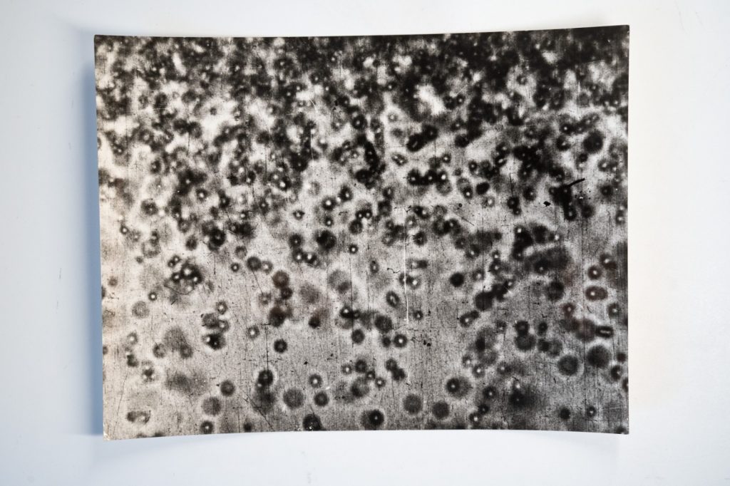 photo Argentique	France	Microscopique  SCIENTIFIQUE 17X23cm	1960