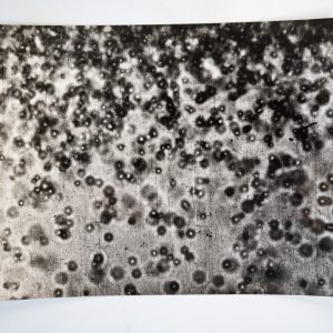 photo Argentique	France	Microscopique  SCIENTIFIQUE 17X23cm	1960