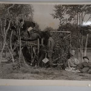 PHOTO Argentique	France	Equitation cheval saut d'obstacles	17X23	1970
