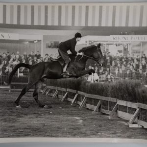 PHOTO Argentique	France	Equitation cheval saut d'obstacles	17X23	1970