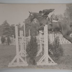 PHOTO Argentique	France	Equitation cheval saut d'obstacles	17X23	1970