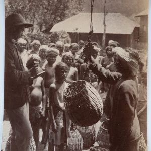 TIRAGE PHOTO Albumine Inde Récolte du thé à Ceylan 13X21cm 1880