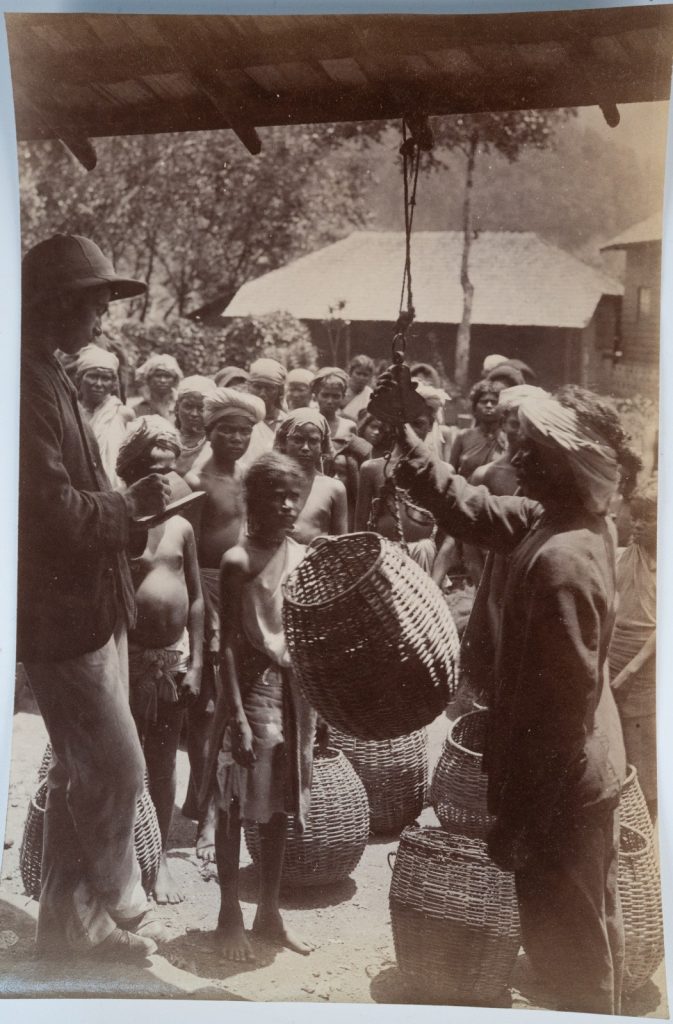 TIRAGE PHOTO Albumine	Inde	Récolte du thé à Ceylan	13X21cm	1880
