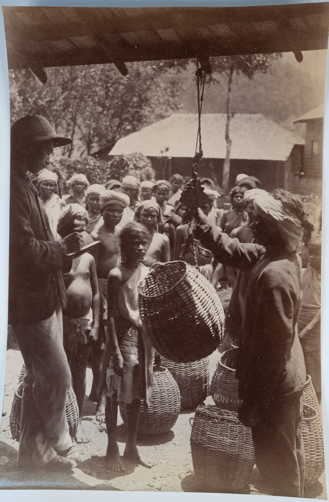 TIRAGE PHOTO Albumine Inde Récolte du thé à Ceylan 13X21cm 1880