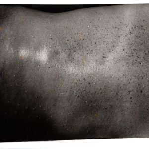 PHOTO Argentique	France	DOS DE FEMME NUE	13X18cm	1970