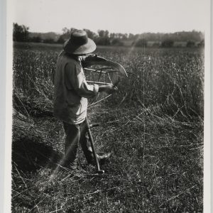 PHOTO Argentique Scène rurale agriculteur fauche un champs 13X18cm 1970