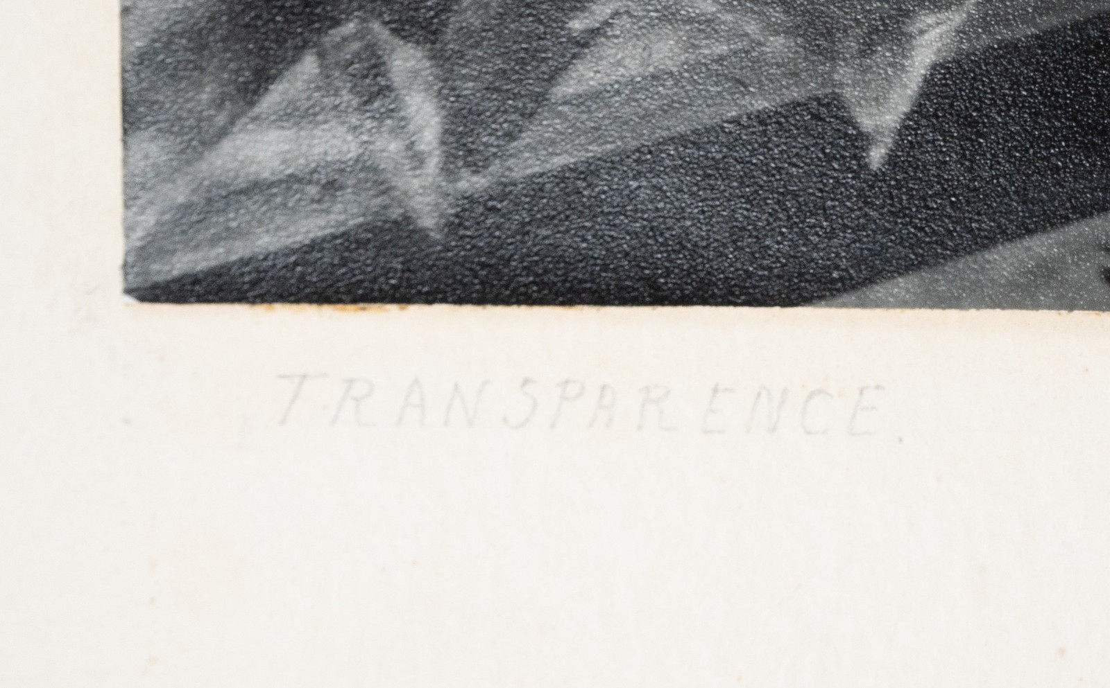 Photo argentique Transparence , poissons 26x38cm 1960 R. RENSON – Image 2