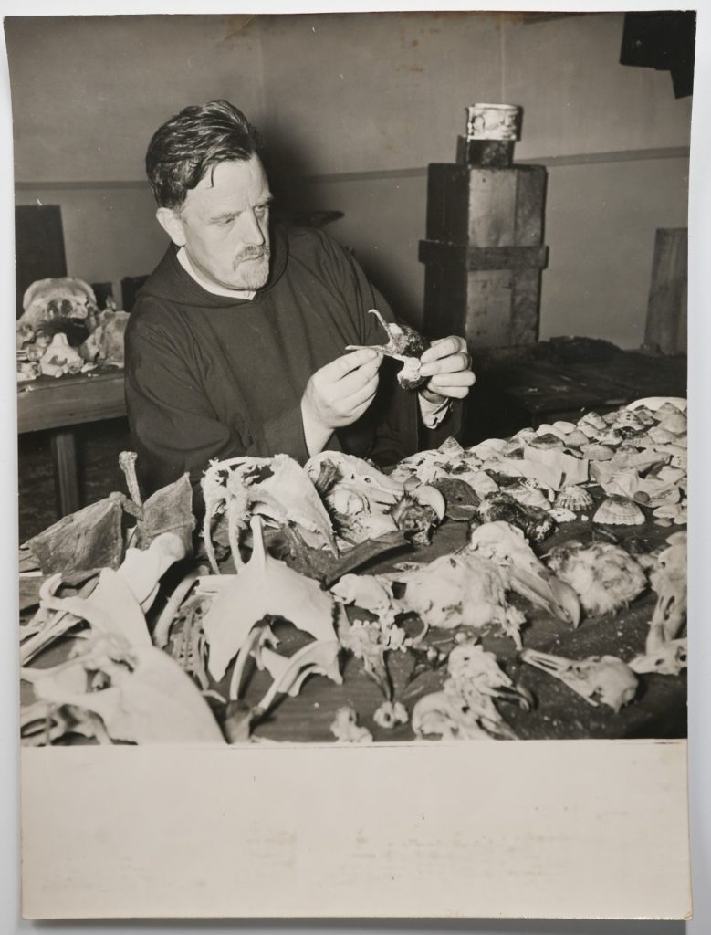 PHOTO îles Kerguelen Le Père Beaugé examine des crânes d'oiseaux 18X24cm	1950
