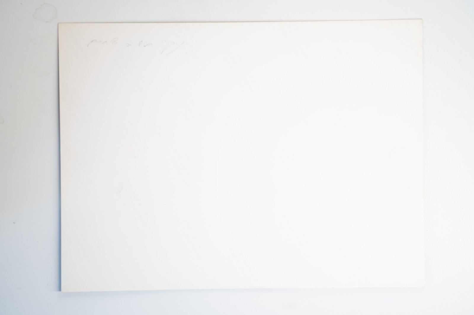 PHOTO film The Couch Trip Dan Aykroyd Donna Dixon 18X24cm 1980 – Image 2