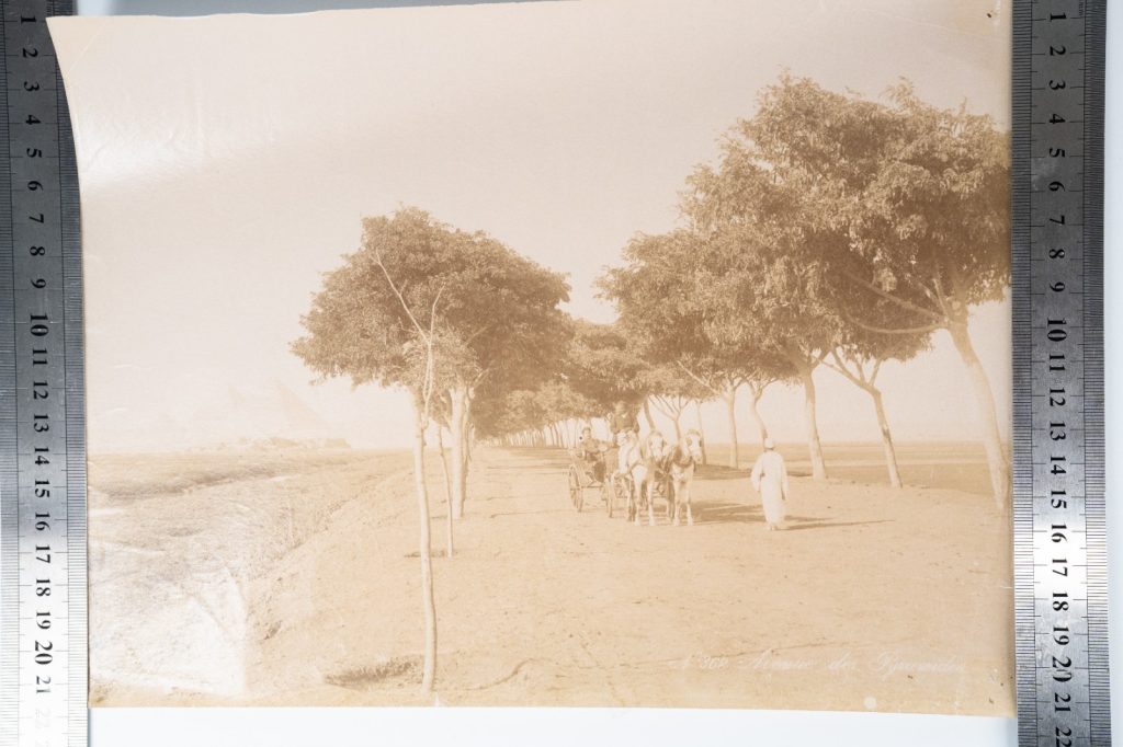 PHOTO Albumine Egypte Avenue des Pyramides 21X28cm 1880