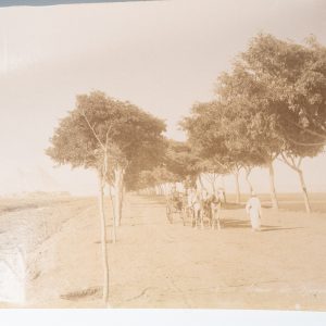 PHOTO Albumine	Egypte Avenue des Pyramides 21X28cm	1880