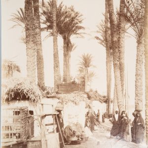 PHOTO Albumine	Egypte	Village au bord du Nil 21X28cm	1880 Bonfils