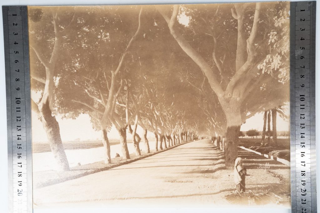 PHOTO Albumine Egypte Le Caire 21X28cm 1880 Bonfils