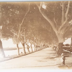 PHOTO Albumine	Egypte	Le Caire 21X28cm	1880 Bonfils