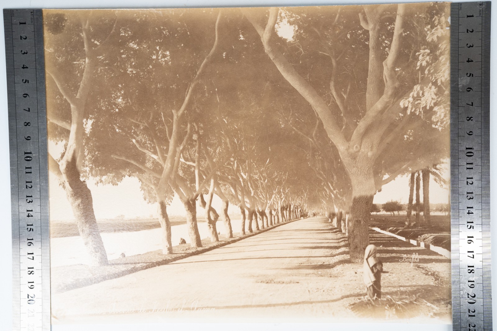 PHOTO Albumine Egypte Le Caire 21X28cm 1880 Bonfils