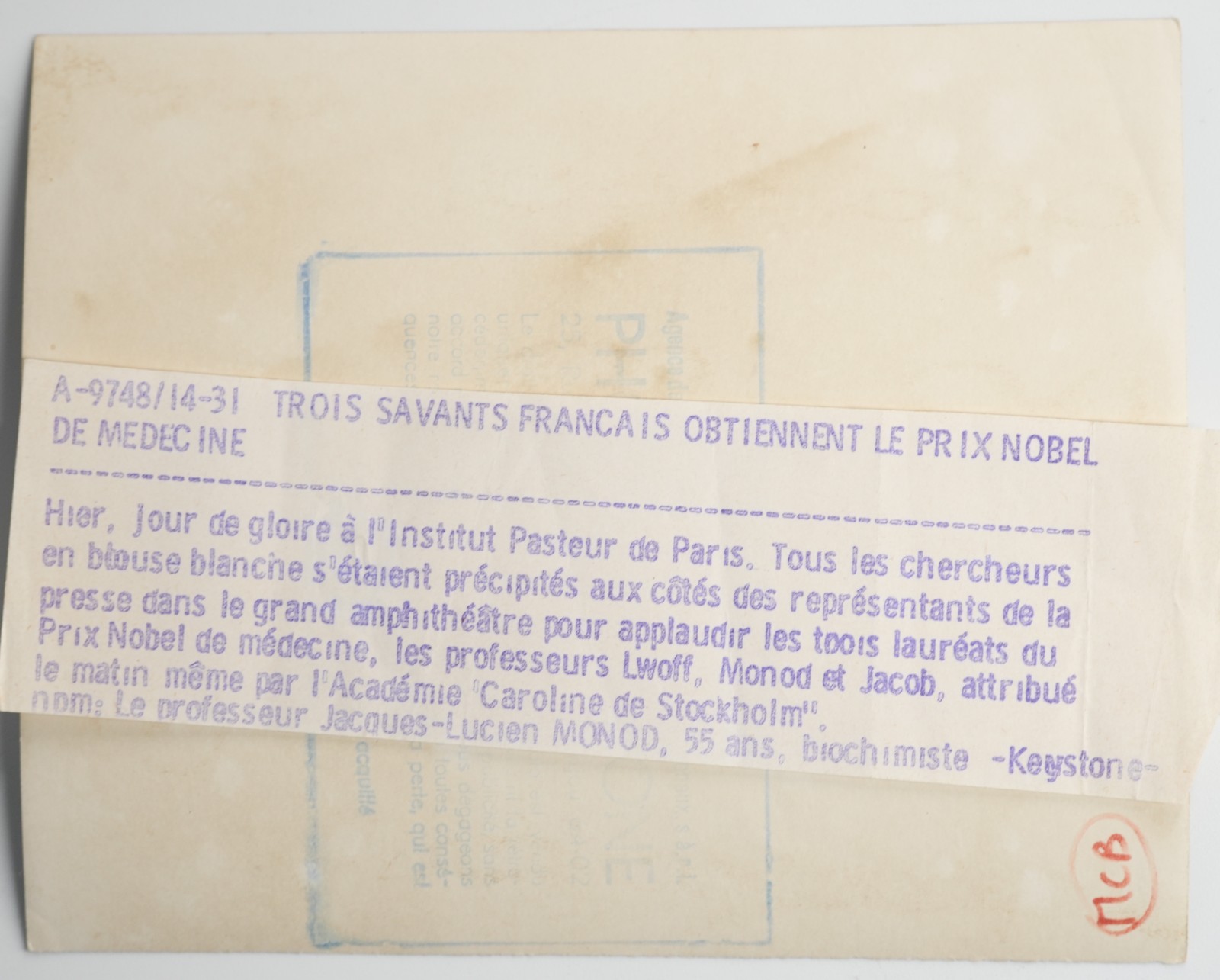 PHOTO Argentique Jacques-Lucien MONOD Prix Nobel de médecine 14X18cm 1960 – Image 2