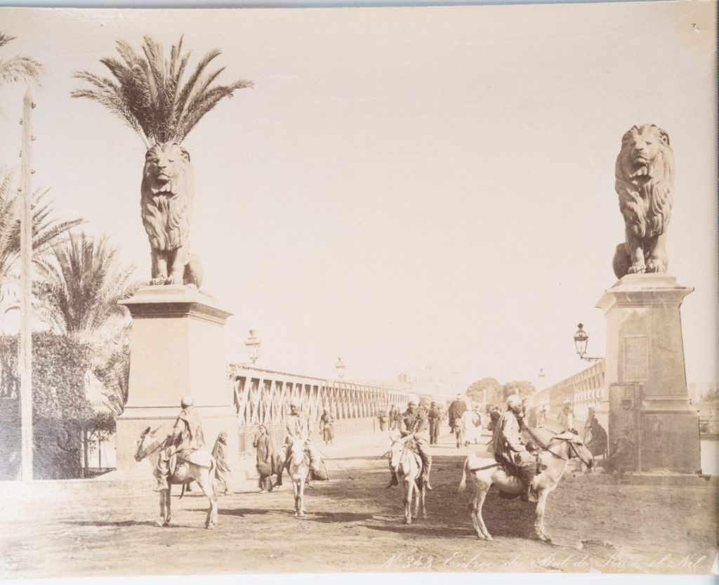PHOTO Albumine Egypte Lions du Caire 21X27cm 1880