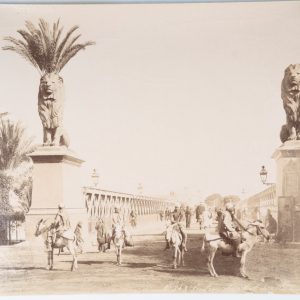 PHOTO Albumine	Egypte Lions du Caire 21X27cm	1880
