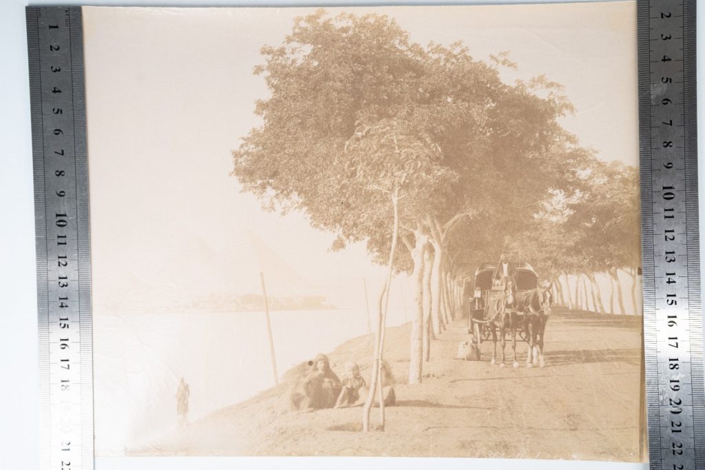 PHOTO Albumine Egypte Paysage route des pyramides 21X27cm 1880