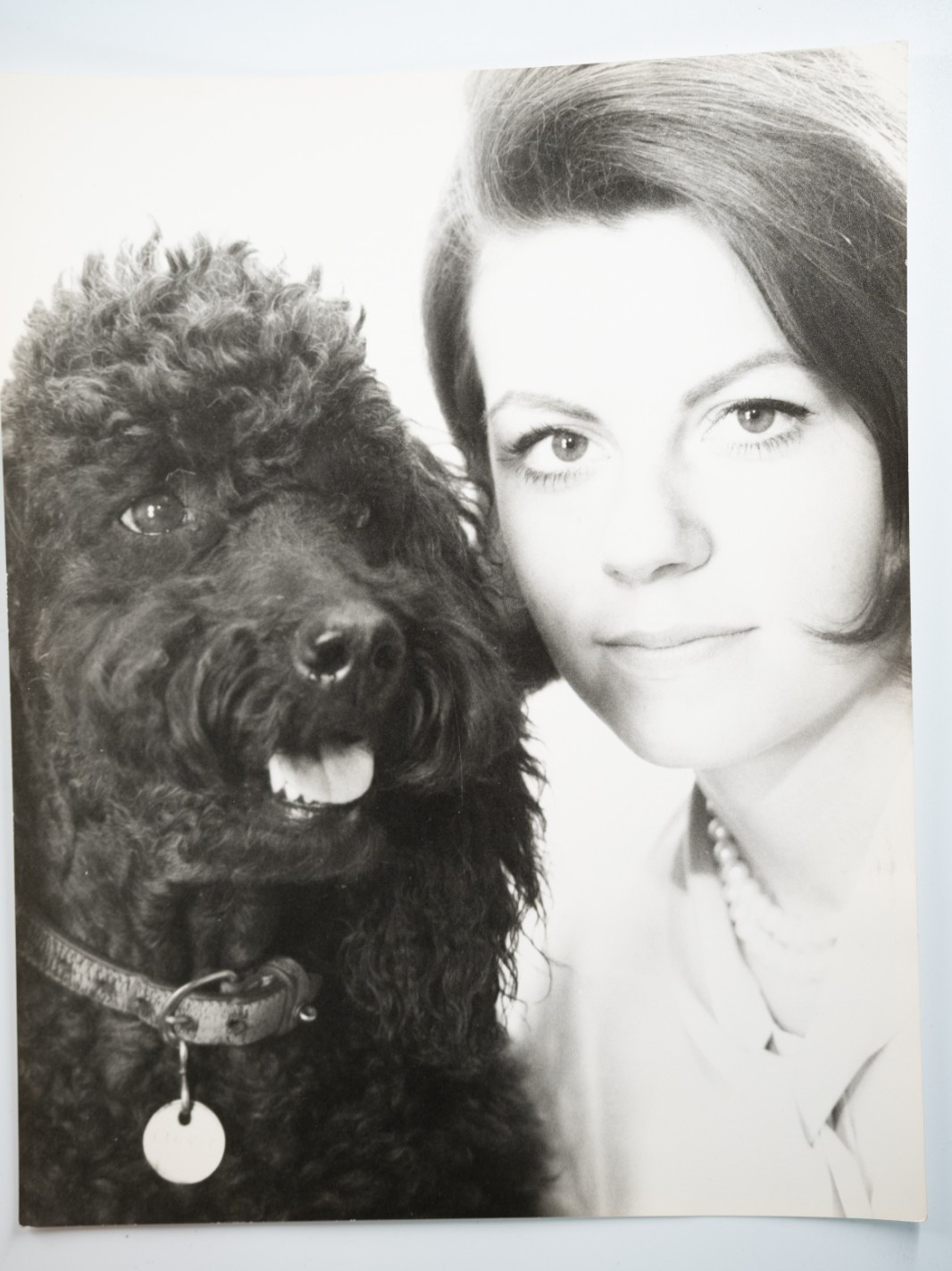 TIRAGE PHOTO Argentique France Femme et son chien caniche 24X29cm 1960